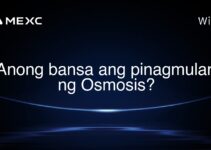 Anong bansa ang pinagmulan ng Osmosis? Anong bansa ang pinagmulan ng Osmosis?