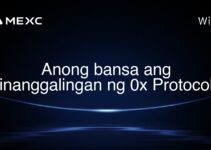 Anong bansa ang pinanggalingan ng 0x Protocol? Anong bansa ang pinanggalingan ng 0x Protocol?