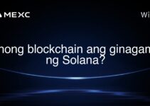 Anong blockchain ang ginagamit ng Solana? Anong blockchain ang ginagamit ng Solana?