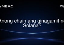 Anong chain ang ginagamit ng Solana? Anong chain ang ginagamit ng Solana?
