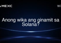 Anong wika ang ginamit sa Solana? Anong wika ang ginamit sa Solana?