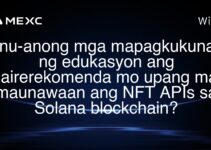 Anu-anong mga mapagkukunan ng edukasyon ang mairerekomenda mo upang mas maunawaan ang NFT APIs sa Solana blockchain? Anu-anong mga mapagkukunan ng edukasyon ang mairerekomenda mo upang mas maunawaan ang NFT APIs sa Solana blockchain?