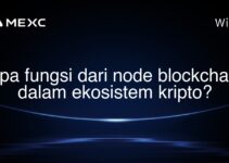 Apa fungsi dari node blockchain dalam ekosistem kripto?