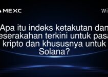 Apa itu indeks ketakutan dan keserakahan terkini untuk pasar kripto dan khususnya untuk Solana? Apa itu indeks ketakutan dan keserakahan terkini untuk pasar kripto dan khususnya untuk Solana?