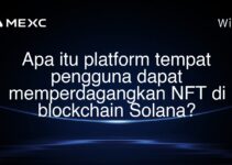 Apa itu platform tempat pengguna dapat memperdagangkan NFT di blockchain Solana? Apa itu platform tempat pengguna dapat memperdagangkan NFT di blockchain Solana?
