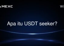 Apa itu USDT seeker? Apa itu USDT seeker?