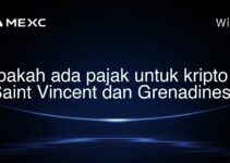 Apakah ada pajak untuk kripto di Saint Vincent dan Grenadines? Apakah ada pajak untuk kripto di Saint Vincent dan Grenadines?