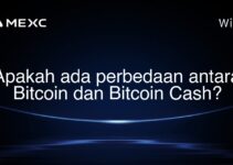 Apakah ada perbedaan antara Bitcoin dan Bitcoin Cash? Apakah ada perbedaan antara Bitcoin dan Bitcoin Cash?