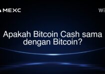 Apakah Bitcoin Cash sama dengan Bitcoin? Apakah Bitcoin Cash sama dengan Bitcoin?