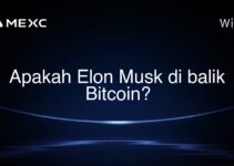 Apakah Elon Musk di balik Bitcoin? Apakah Elon Musk di balik Bitcoin?