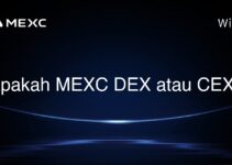 Apakah MEXC DEX atau CEX? Apakah MEXC DEX atau CEX?
