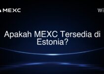Apakah MEXC Tersedia di Estonia? Apakah MEXC Tersedia di Estonia?