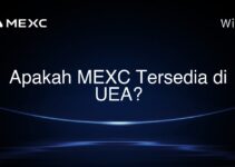 Apakah MEXC Tersedia di UEA? Apakah MEXC Tersedia di UEA?