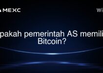 Apakah pemerintah AS memiliki Bitcoin? Apakah pemerintah AS memiliki Bitcoin?
