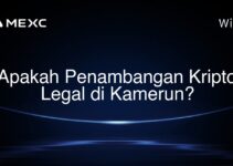 Apakah Penambangan Kripto Legal di Kamerun? Apakah Penambangan Kripto Legal di Kamerun?