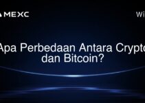Apa Perbedaan Antara Crypto dan Bitcoin? Apa Perbedaan Antara Crypto dan Bitcoin?