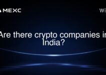 Are there crypto companies in India? Are there crypto companies in India?