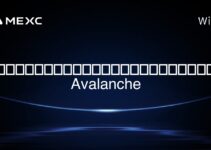 哪个代币在Avalanche生态系统中使用 哪个代币在Avalanche生态系统中使用