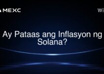 Ay Pataas ang Inflasyon ng Solana? Ay Pataas ang Inflasyon ng Solana?