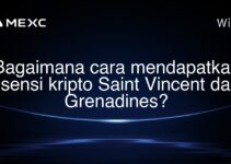 Bagaimana cara mendapatkan lisensi kripto Saint Vincent dan Grenadines? Bagaimana cara mendapatkan lisensi kripto Saint Vincent dan Grenadines?