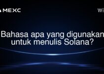 Bahasa apa yang digunakan untuk menulis Solana? Bahasa apa yang digunakan untuk menulis Solana?