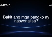 Bakit ang mga bangko ay nasyonalisa? Bakit ang mga bangko ay nasyonalisa?