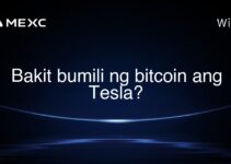 Bakit bumili ng bitcoin ang Tesla? Bakit bumili ng bitcoin ang Tesla?