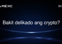 Bakit delikado ang crypto? Bakit delikado ang crypto?