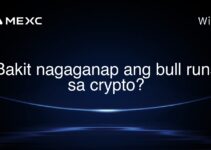 Bakit nagaganap ang bull runs sa crypto? Bakit nagaganap ang bull runs sa crypto?