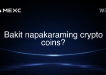 Bakit napakaraming crypto coins? Bakit napakaraming crypto coins?