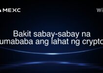 Bakit sabay-sabay na bumababa ang lahat ng crypto? Bakit sabay-sabay na bumababa ang lahat ng crypto?