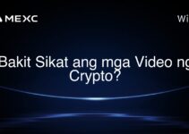 Bakit Sikat ang mga Video ng Crypto? Bakit Sikat ang mga Video ng Crypto?