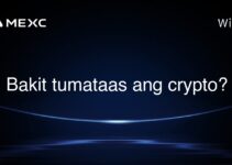 Bakit tumataas ang crypto? Bakit tumataas ang crypto?