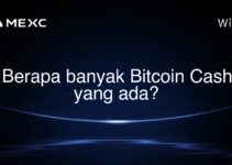 Berapa banyak Bitcoin Cash yang ada? Berapa banyak Bitcoin Cash yang ada?