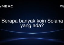 Berapa banyak koin Solana yang ada? Berapa banyak koin Solana yang ada?