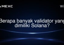 Berapa banyak validator yang dimiliki Solana? Berapa banyak validator yang dimiliki Solana?