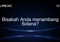 Bisakah Anda menambang Solana? Bisakah Anda menambang Solana?