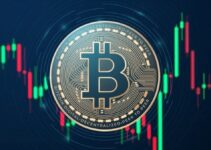 Bitcoin Surpasses 55M Holders, Whale Holdings Shrink Bitcoin Surpasses 55M Holders, Whale Holdings Shrink