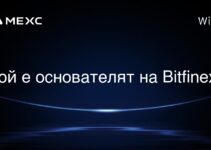 Bitfinex 創辦人是誰? Bitfinex 創辦人是誰?