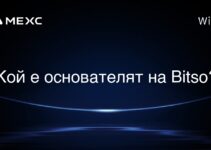 Bitso来自哪个国家? Bitso来自哪个国家?
