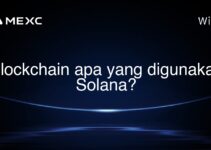 Blockchain apa yang digunakan Solana? Blockchain apa yang digunakan Solana?