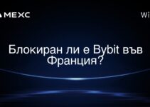 哪种币是Bybit所拥有的 哪种币是Bybit所拥有的