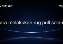 cara melakukan rug pull solana cara melakukan rug pull solana