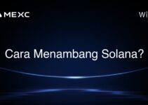 Cara Menambang Solana? Cara Menambang Solana?