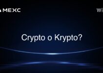 Crypto o Krypto? Crypto o Krypto?