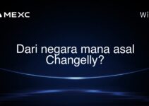 Dari negara mana asal Changelly? Dari negara mana asal Changelly?