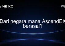 Dari negara mana AscendEX berasal? Dari negara mana AscendEX berasal?
