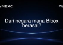 Dari negara mana Bibox berasal? Dari negara mana Bibox berasal?