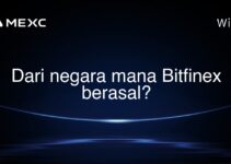 Dari negara mana Bitfinex berasal? Dari negara mana Bitfinex berasal?