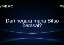 Dari negara mana Bitso berasal? Dari negara mana Bitso berasal?